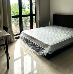 The Mayfair (D22), Condominium #553296551